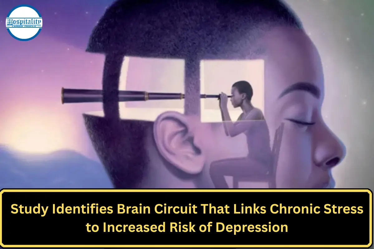 Study Identifies Brain Circuit That Links Chronic Stress to Increased Risk of Depression