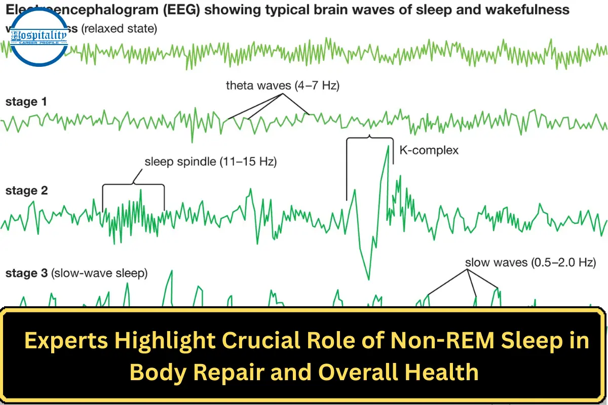 Experts Highlight Crucial Role of Non-REM Sleep in Body Repair and Overall Health
