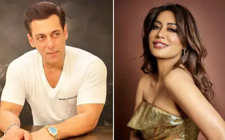 Chitrangada Singh to Romance Salman Khan, But Bhaijaan Delivered a ₹900 Crore Film With This Actress