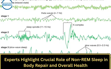 Experts Highlight Crucial Role of Non-REM Sleep in Body Repair and Overall Health