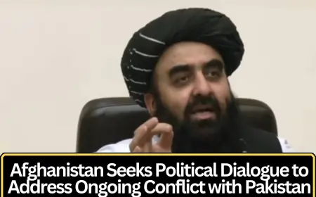 Afghanistan Seeks Political Dialogue to Address Ongoing Conflict with Pakistan