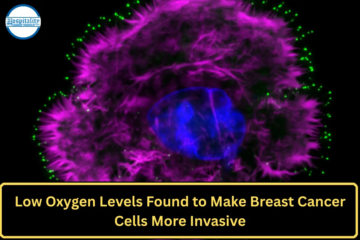 Low Oxygen Levels Found to Make Breast Cancer Cells More Invasive