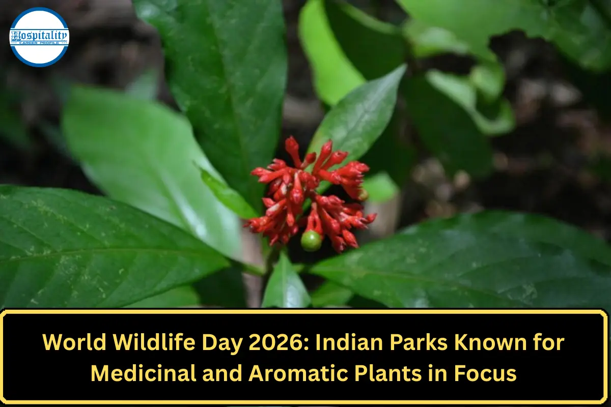World Wildlife Day 2026: Indian Parks Known for Medicinal and Aromatic Plants in Focus