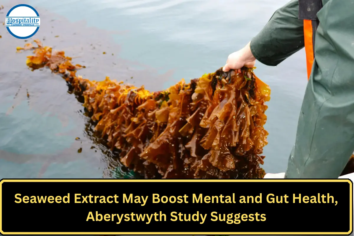Seaweed Extract May Boost Mental and Gut Health, Aberystwyth Study Suggests
