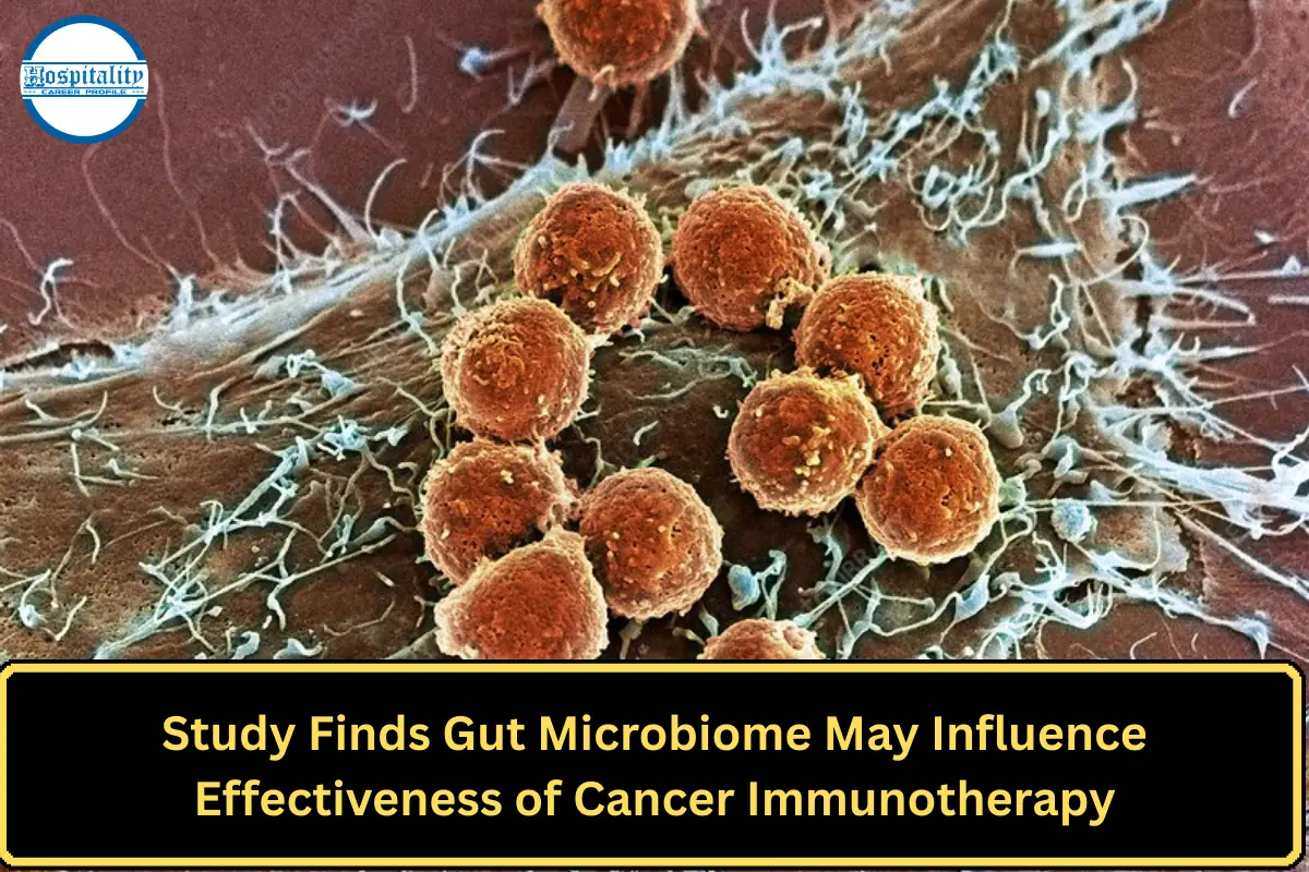 Study Finds Gut Microbiome May Influence Effectiveness of Cancer Immunotherapy