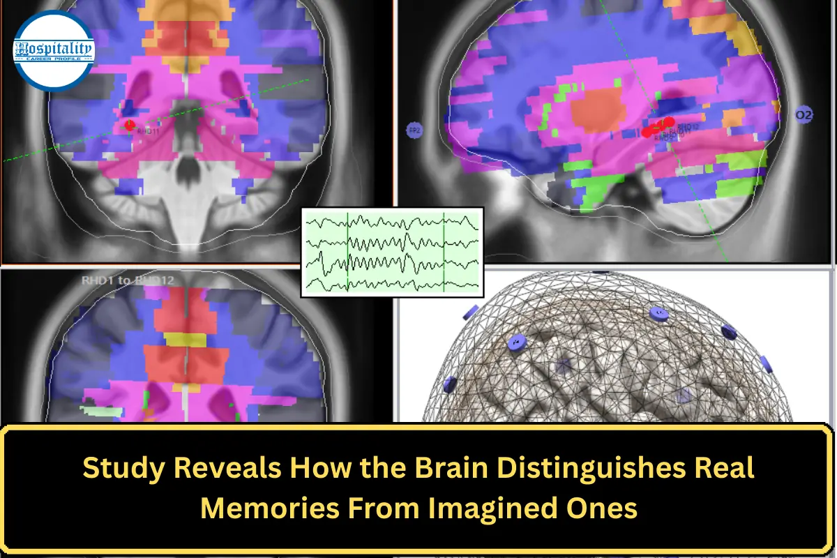 Study Reveals How the Brain Distinguishes Real Memories From Imagined Ones