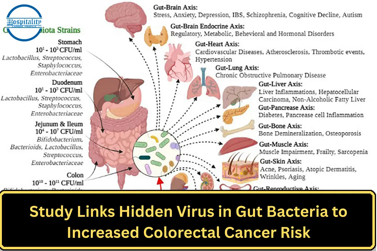 Study Links Hidden Virus in Gut Bacteria to Increased Colorectal Cancer Risk