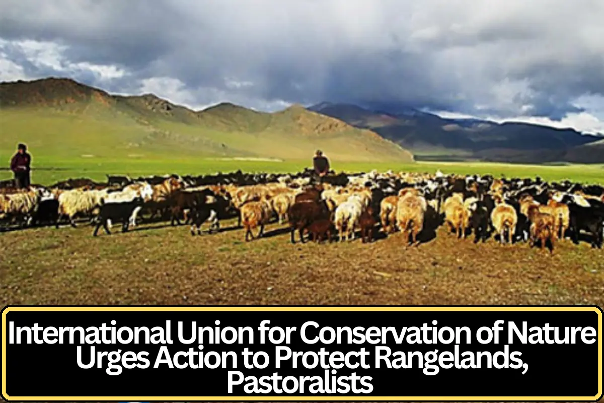 IUCN Calls for Stronger Political Commitment to Protect Pastoralists and Global Rangelands