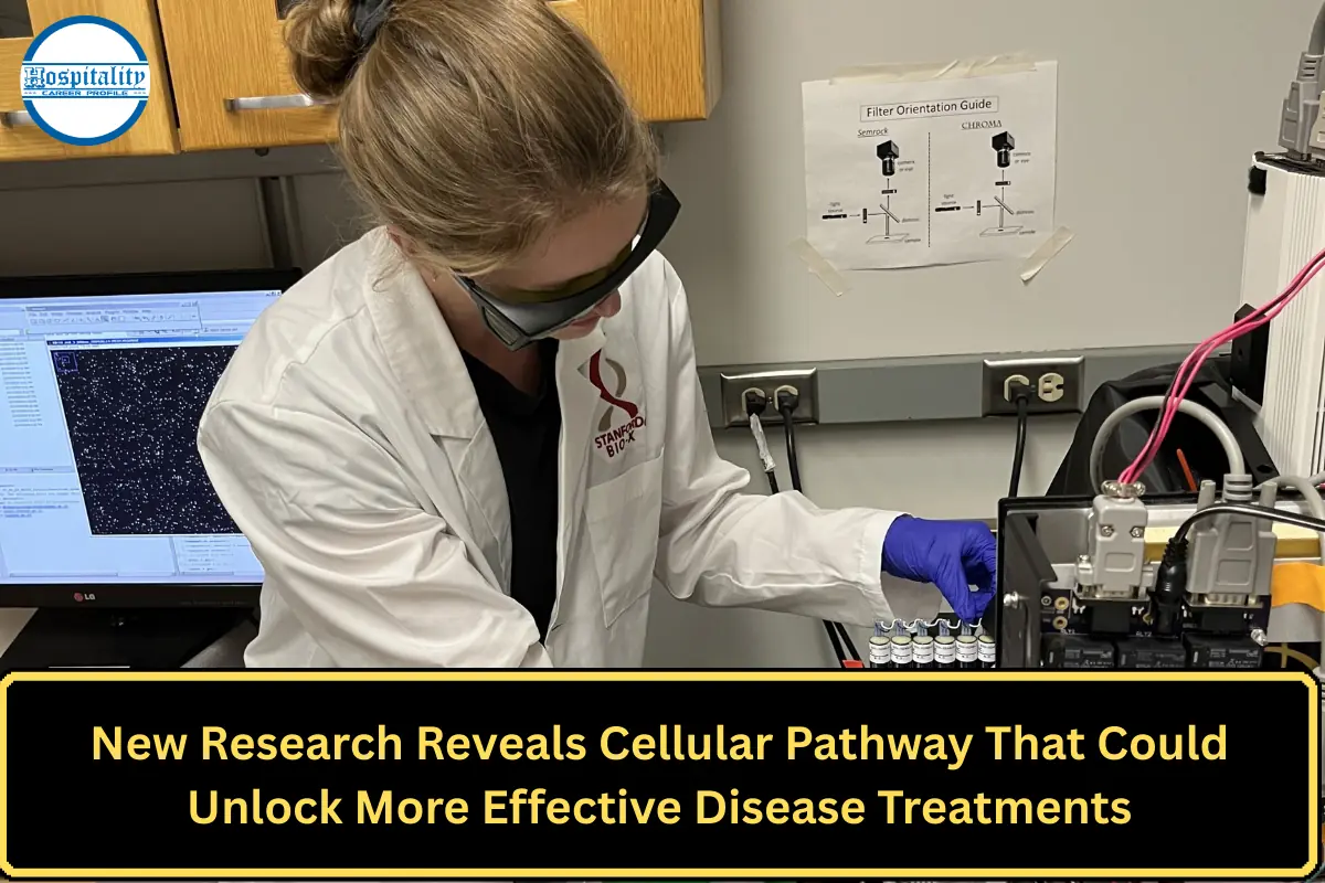 New Research Reveals Cellular Pathway That Could Unlock More Effective Disease Treatments