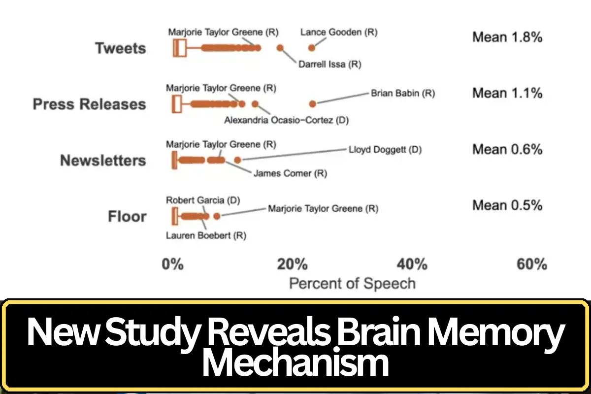 New Research Reveals Key Mechanism Behind Memory Formation in the Human Brain