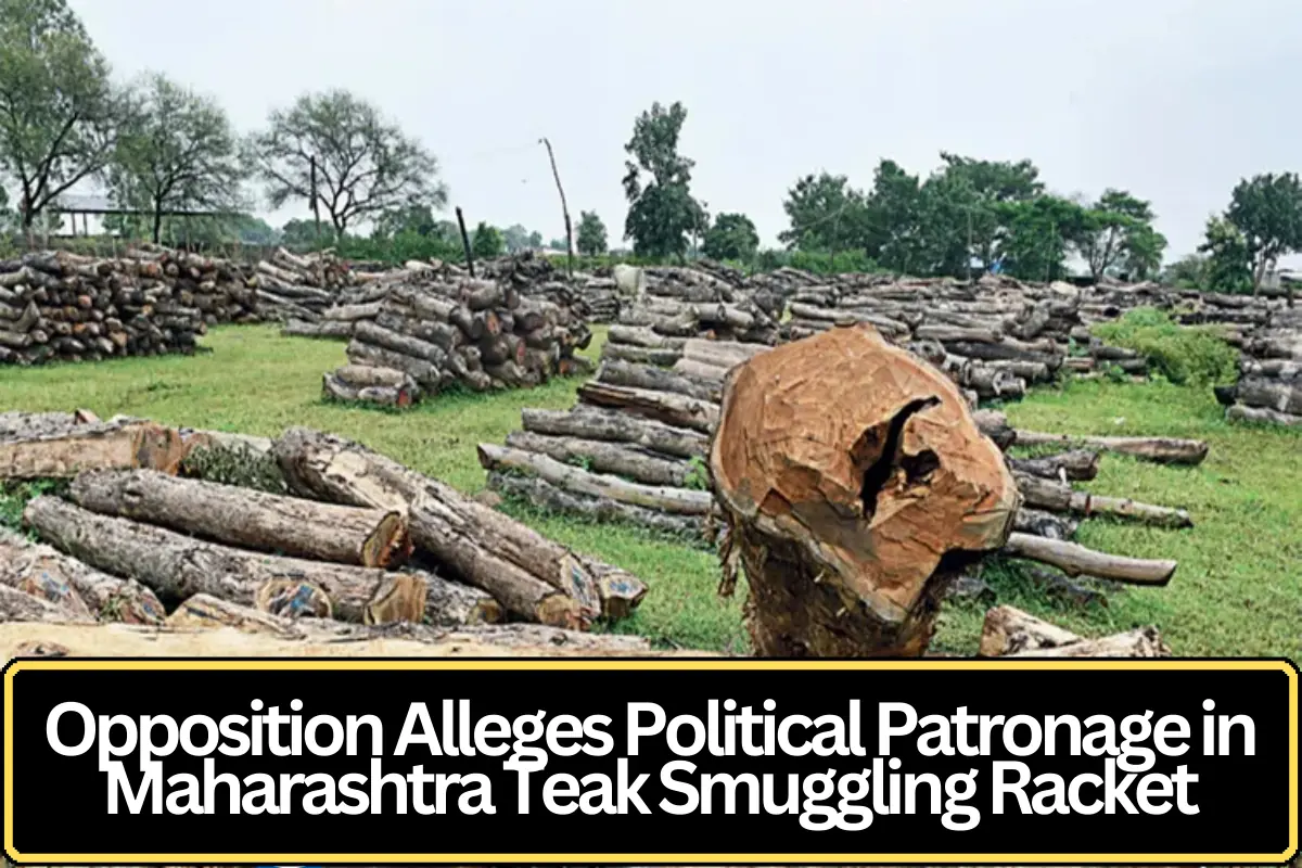 Opposition Alleges Political Patronage in Maharashtra Teak Smuggling Racket