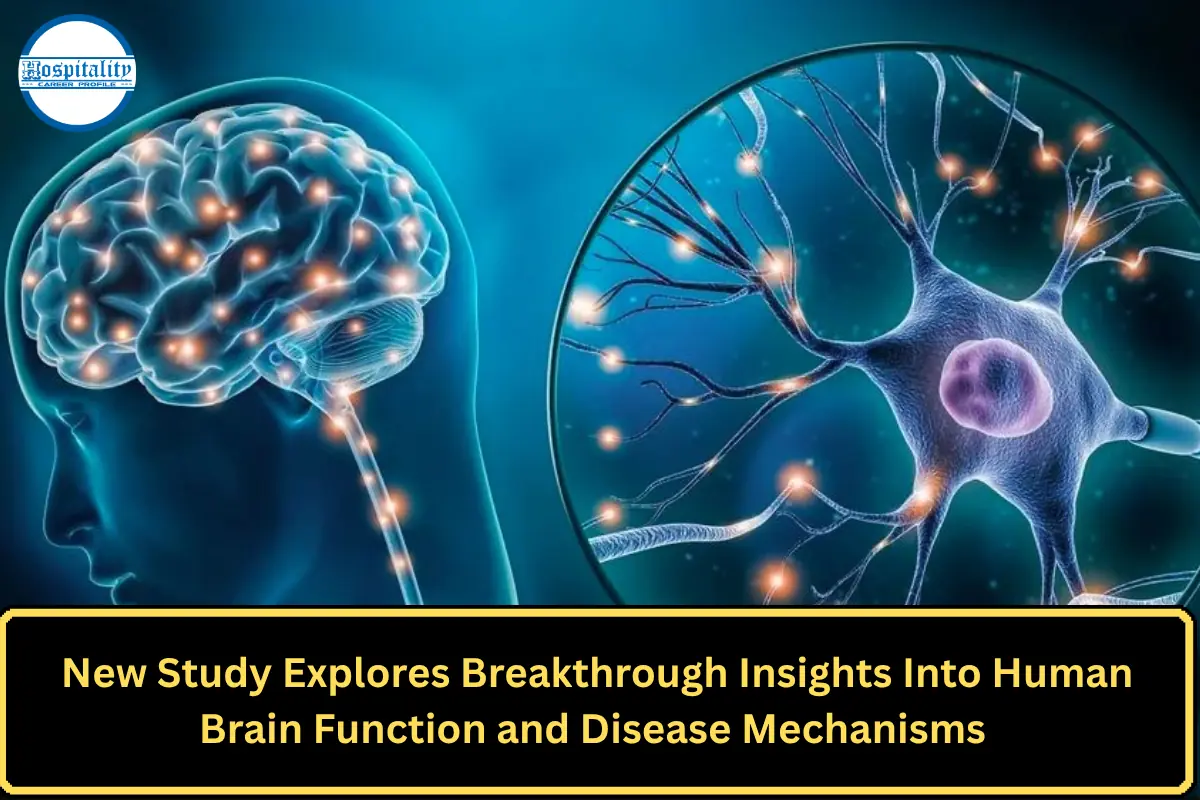 New Study Explores Breakthrough Insights Into Human Brain Function and Disease Mechanisms