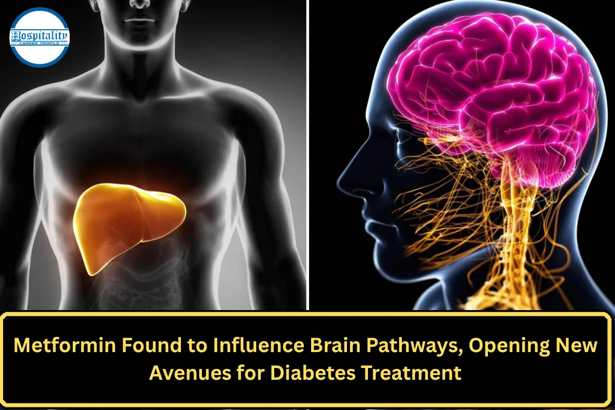 Metformin Found to Influence Brain Pathways, Opening New Avenues for Diabetes Treatment