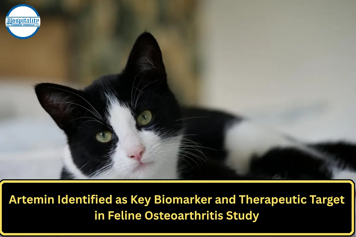 Artemin Identified as Key Biomarker and Therapeutic Target in Feline Osteoarthritis Study