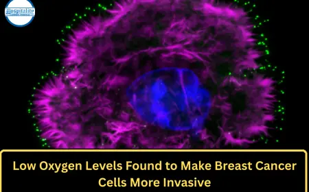 Low Oxygen Levels Found to Make Breast Cancer Cells More Invasive
