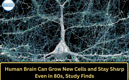 Human Brain Can Grow New Cells and Stay Sharp Even in 80s, Study Finds