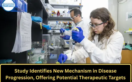 Study Identifies New Mechanism in Disease Progression, Offering Potential Therapeutic Targets