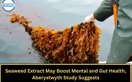 Seaweed Extract May Boost Mental and Gut Health, Aberystwyth Study Suggests