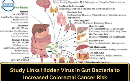 Study Links Hidden Virus in Gut Bacteria to Increased Colorectal Cancer Risk