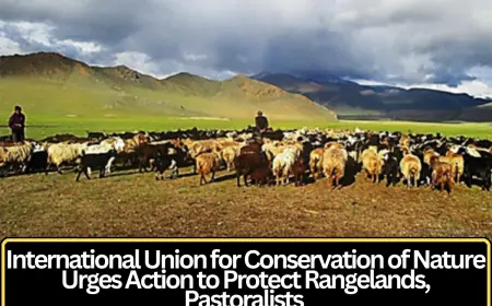 IUCN Calls for Stronger Political Commitment to Protect Pastoralists and Global Rangelands