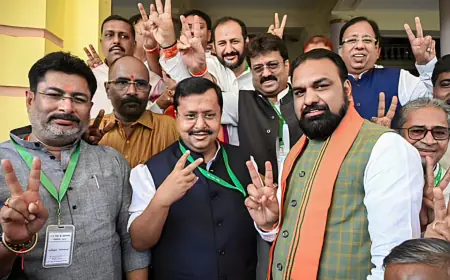 NDA Gains Strength in Rajya Sabha After Wins in Bihar, Odisha and Haryana Polls
