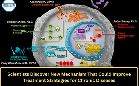 Scientists Discover New Mechanism That Could Improve Treatment Strategies for Chronic Diseases