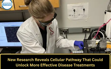 New Research Reveals Cellular Pathway That Could Unlock More Effective Disease Treatments