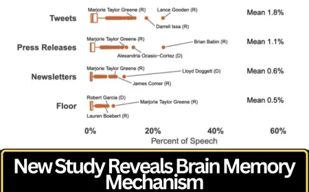 New Research Reveals Key Mechanism Behind Memory Formation in the Human Brain