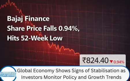 Global Economy Shows Signs of Stabilisation as Investors Monitor Policy and Growth Trends