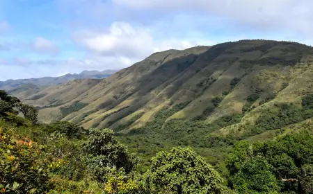 International Day of Forests 2026 Highlights Economic Importance of Forest Ecosystems and Climate Change