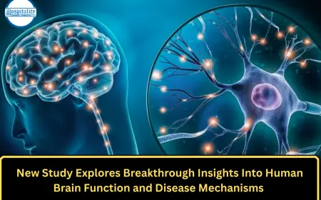 New Study Explores Breakthrough Insights Into Human Brain Function and Disease Mechanisms