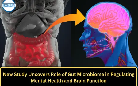 New Study Uncovers Role of Gut Microbiome in Regulating Mental Health and Brain Function