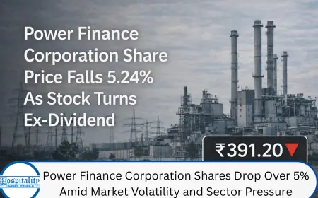 Power Finance Corporation Shares Drop Over 5% Amid Market Volatility and Sector Pressure