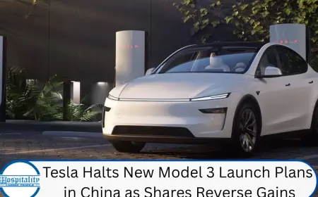 Tesla Halts New Model 3 Launch Plans in China as Shares Reverse Gains
