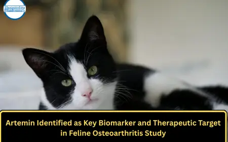 Artemin Identified as Key Biomarker and Therapeutic Target in Feline Osteoarthritis Study