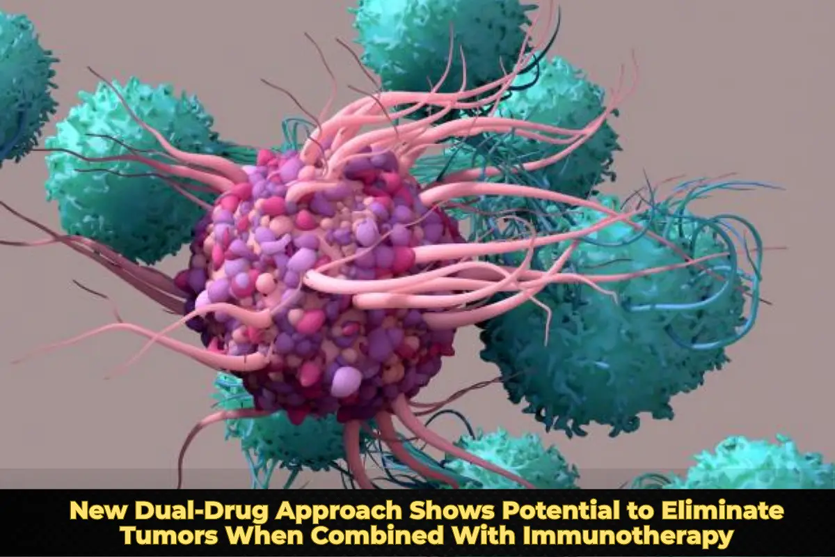 New Dual-Drug Approach Shows Potential to Eliminate Tumors When Combined With Immunotherapy