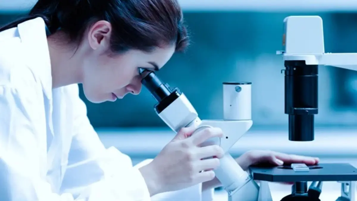 Alligator Bioscience Reports Clinical Progress on Mitazalimab Cancer Therapy