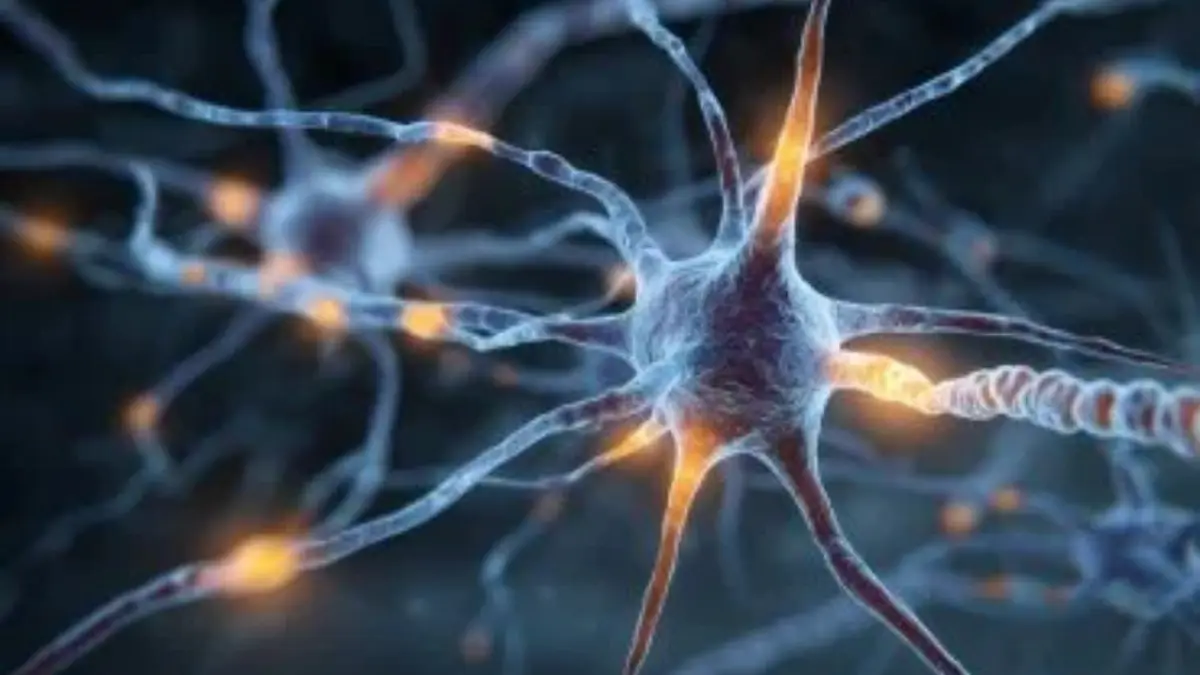 Scientists Identify New Rare Genetic Disease Using Whole-Exome Sequencing
