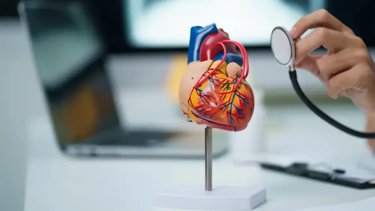 New Cardio-Oncology Drug Shows Potential to Protect Heart During Cancer Treatment