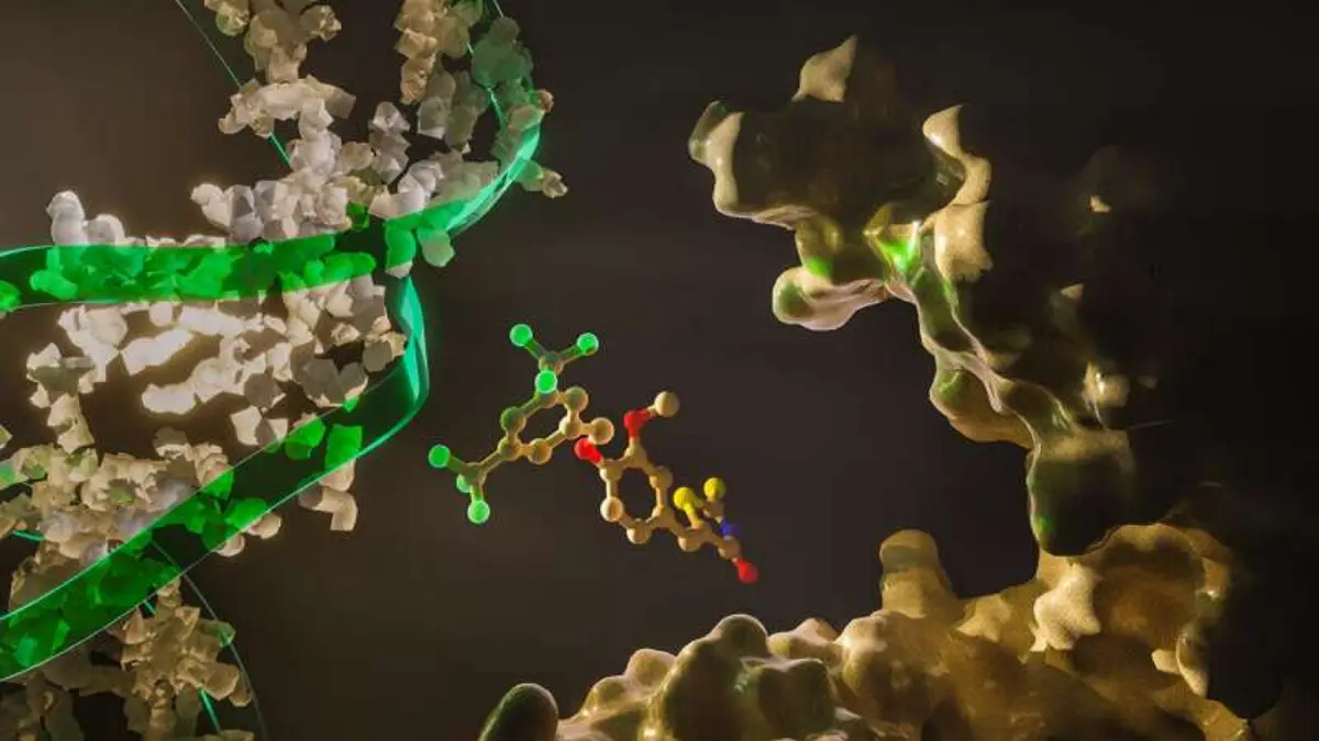 New Cardio-Oncology Drug Aims to Protect Heart During Cancer Treatment