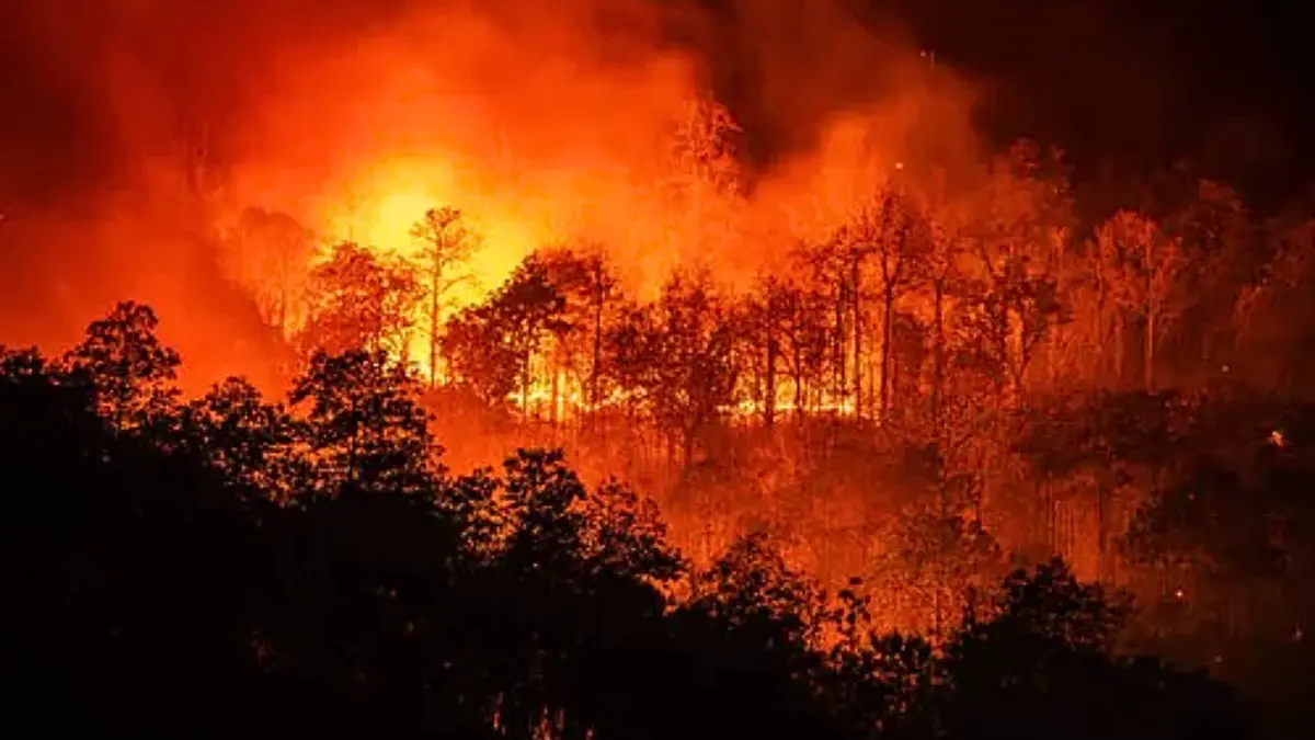 North America Wildfires Burn Longer Nights Amid Climate Shift