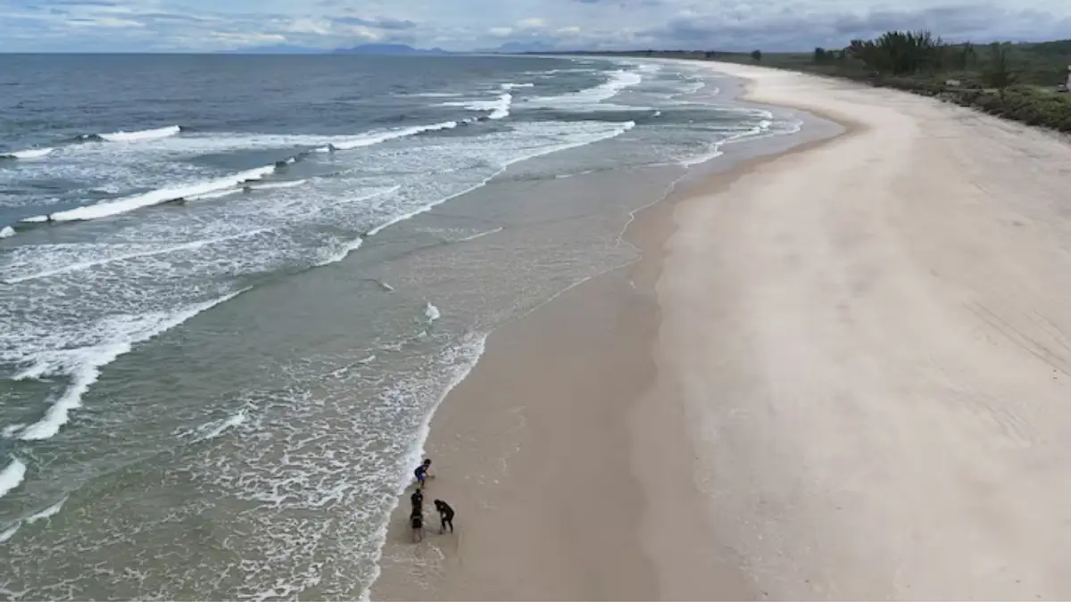 Earth Day 2026 Focuses on Water Security, Wildlife Threats Globally