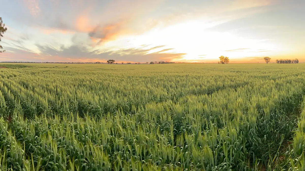 FarmCarbon Secures $53M to Scale Farmer Methane Reduction Projects
