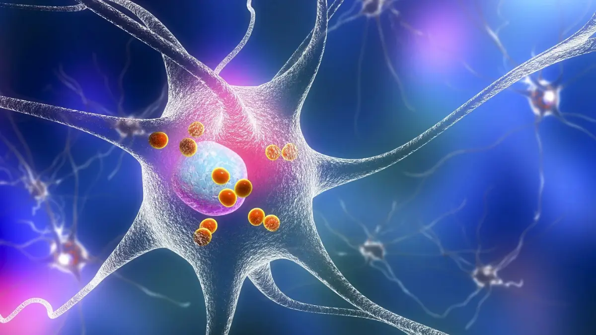 Gut Microbiome Parkinson Risk Gene Study Reveals Early Warning
