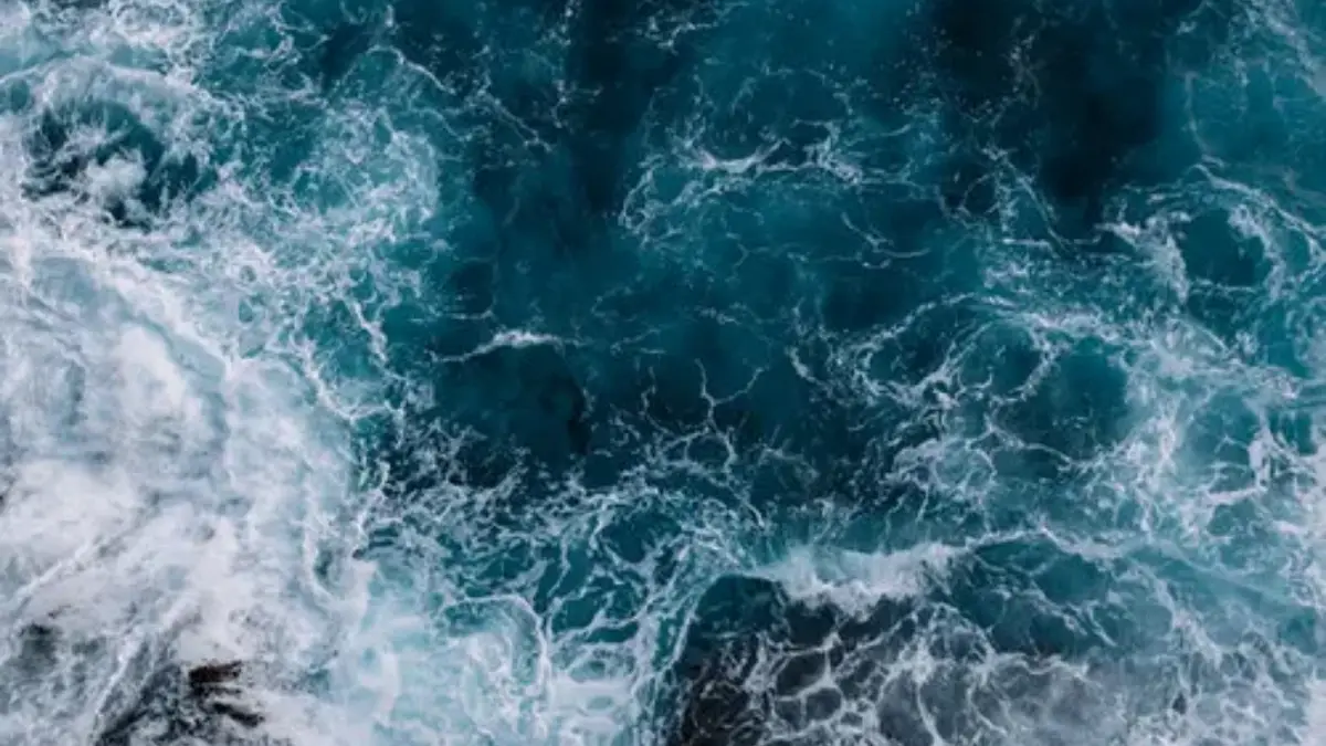 AMOC Collapse Warning Shocking Climate Threat Nears Sooner
