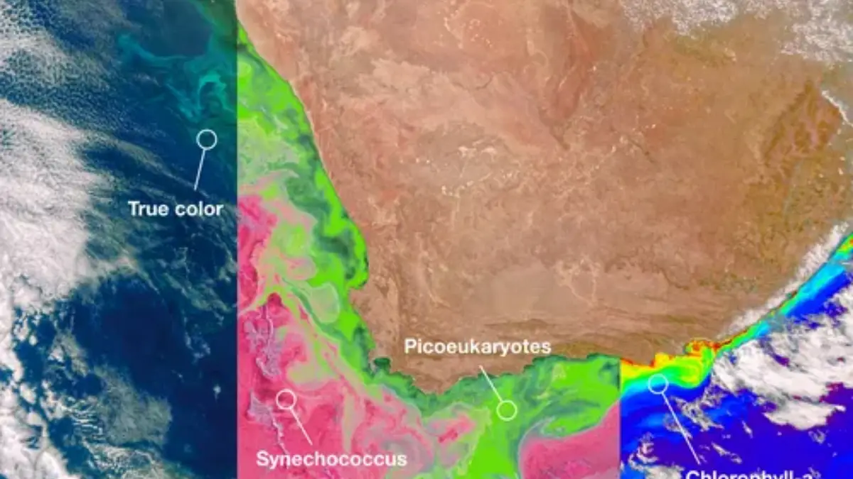 Climate Science Insights 2026 Powerful Warnings Scientists Reveal