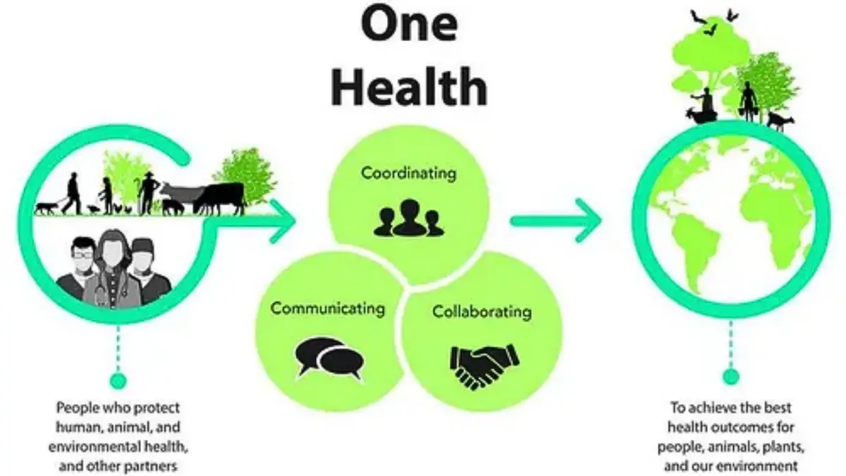 One Health Approach Powerful WHO Call for Science Action