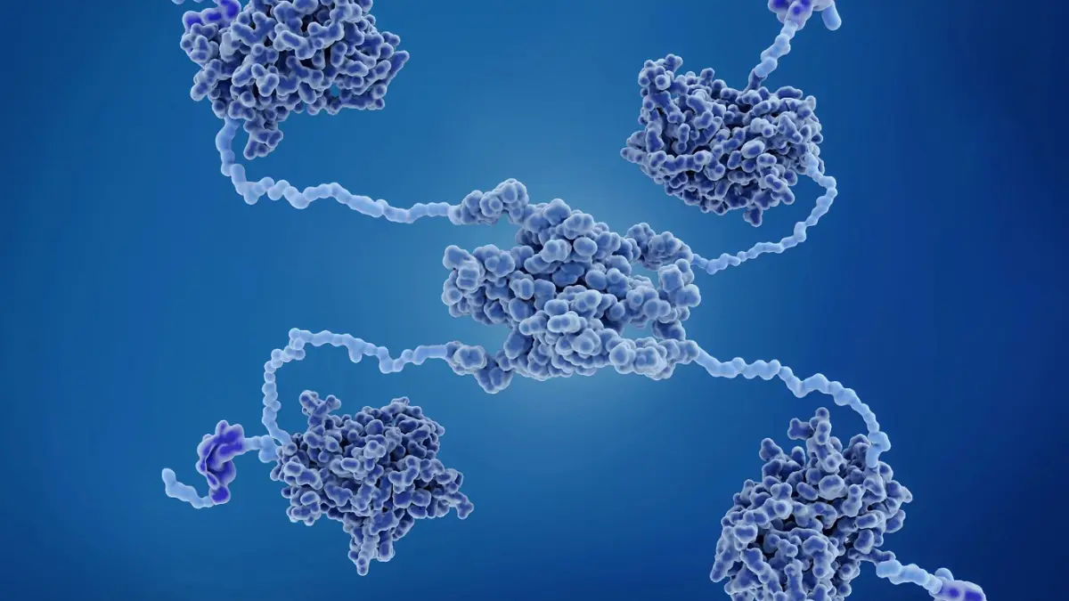Li-Fraumeni Syndrome Risk: New Model Improves Detection Accuracy