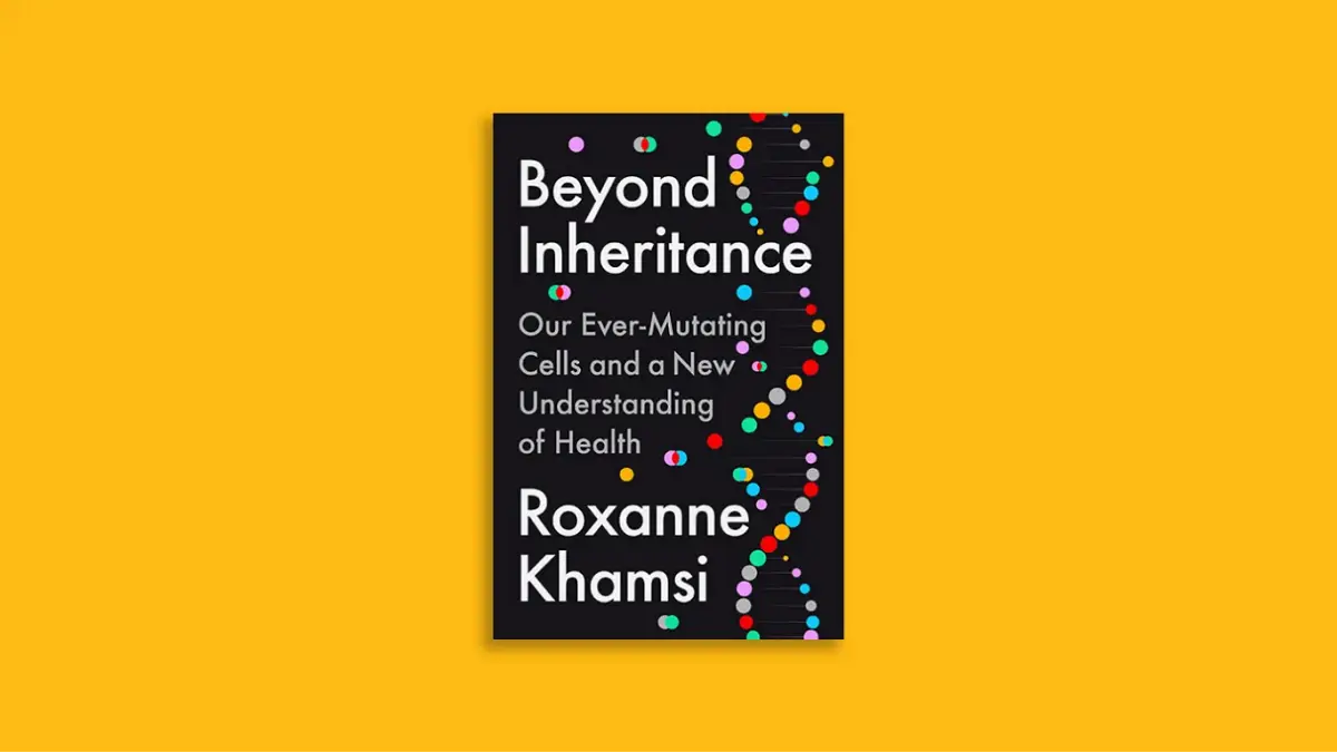Beyond Inheritance Mutations new view Explained