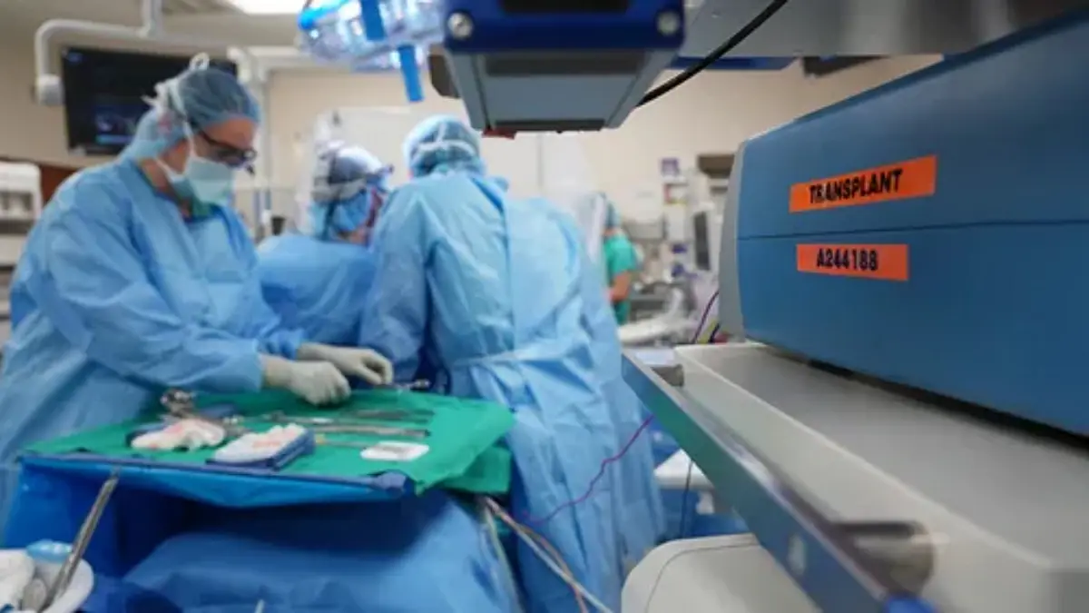 Organ Freezing Breakthrough Brings On-Demand Transplants Closer